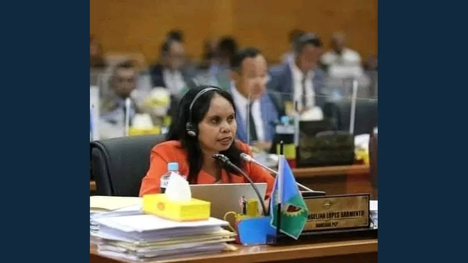 东帝汶议会就跨国犯罪风险呼吁扩大政治共识，图片来源：RAFA Português