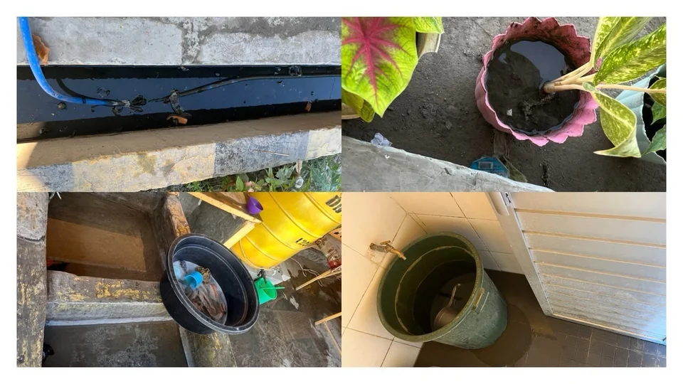 帝力两所学校发现积水与卫生短板，登革热防控受资源限制，图片来源：Diligente